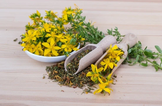 Dziurawiec zwyczajny (Hypericum perforatum) – niezwykła roślina na depresję i nie tylko!