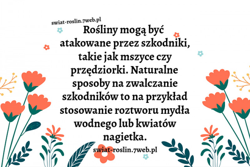 Rośliny mogą być atakowane przez szkodniki ...