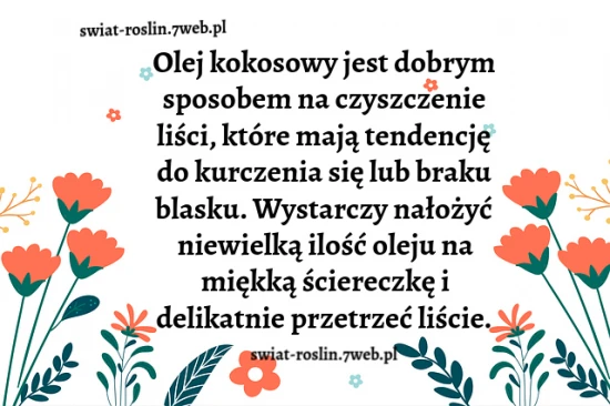 Olej kokosowy do czyszczenia liści
