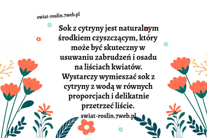 Sok z cytryny