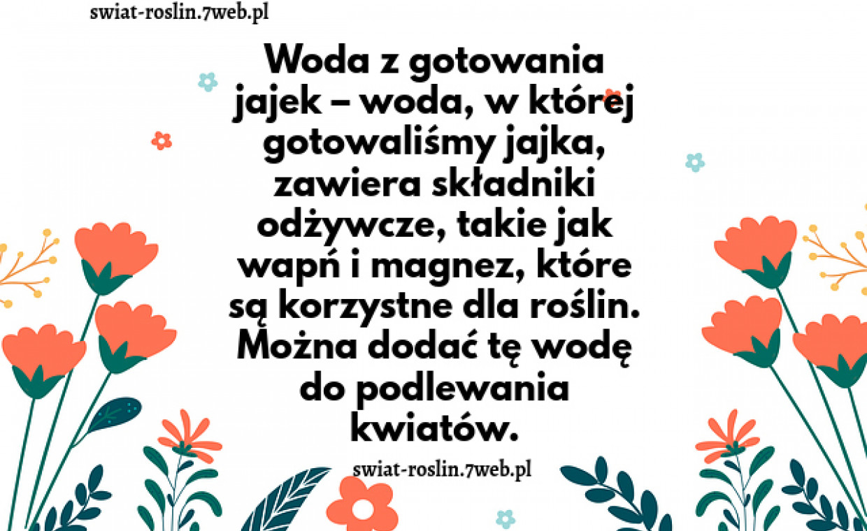 Woda z gotowania jajek