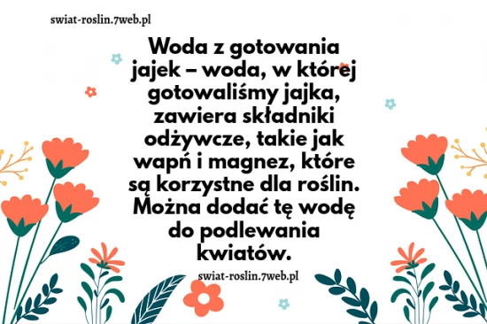 Woda z gotowania jajek