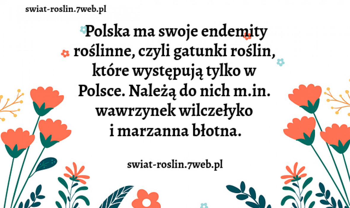 Polskie endemity roślinne