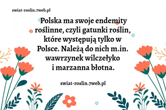 Polskie endemity roślinne