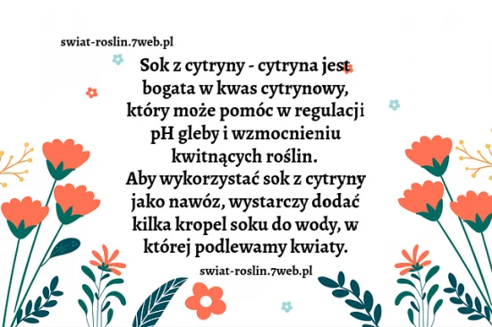 Sok z cytryny do roślin kwitnących