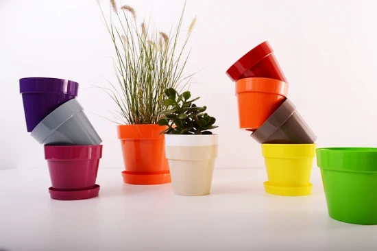 Doniczki: Od plastiku po ceramikę - który materiał wybrać dla Twoich roślin?