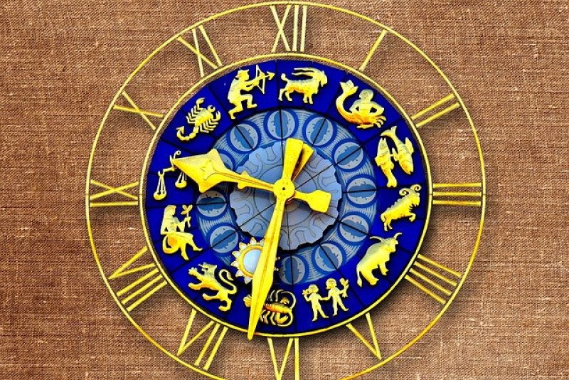 Rośliny doniczkowe a znaki zodiaku: Jak wybrać idealną roślinę dla siebie