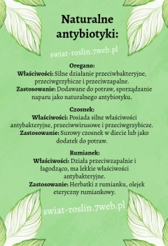 Naturalne roślinne antybiotyki