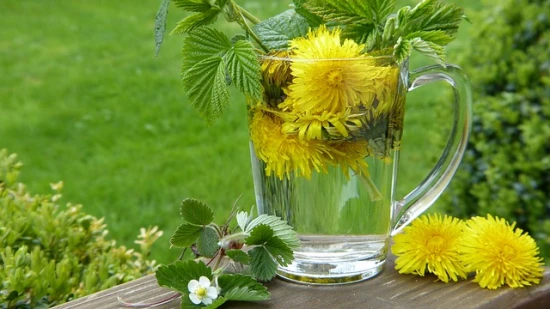 Rośliny dla cukrzyków - naturalne wsparcie w walce z chorobą